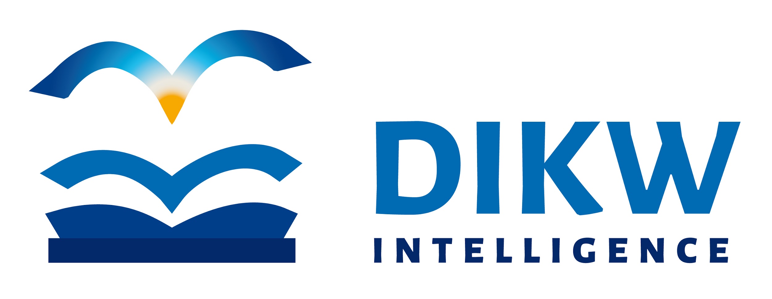 Logo DIKW